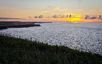 Sunsets on PEI's beautiful North Shore at Cape Tryong